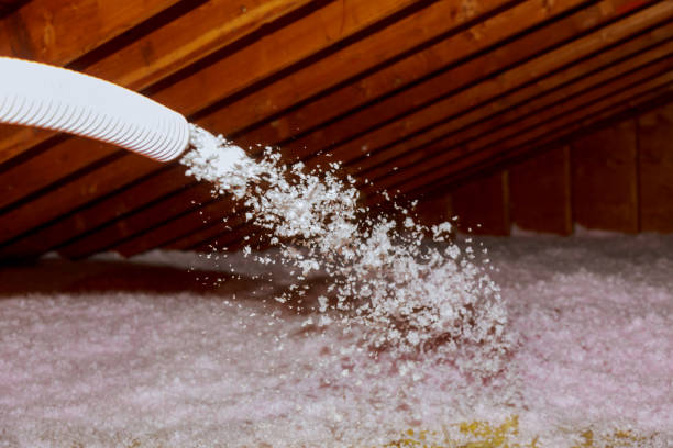 Best Best Insulation Companies  in Brockport, NY
