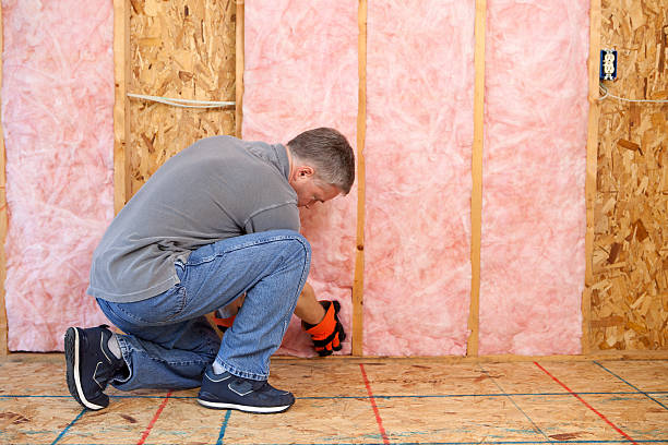 Best Fiberglass Insulation  in Brockport, NY
