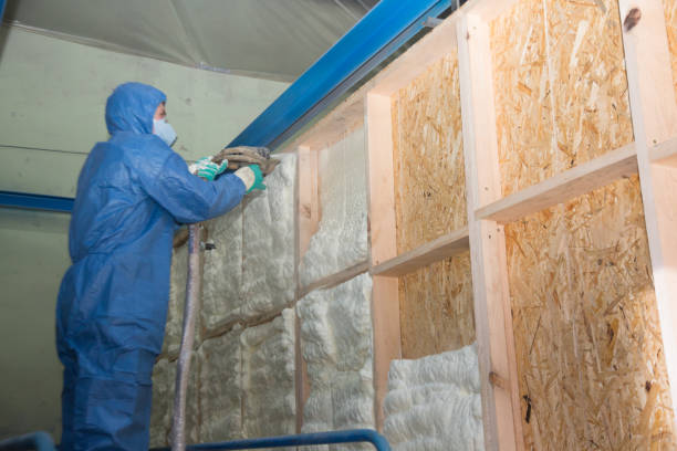 Best Garage Insulation Installation  in Brockport, NY