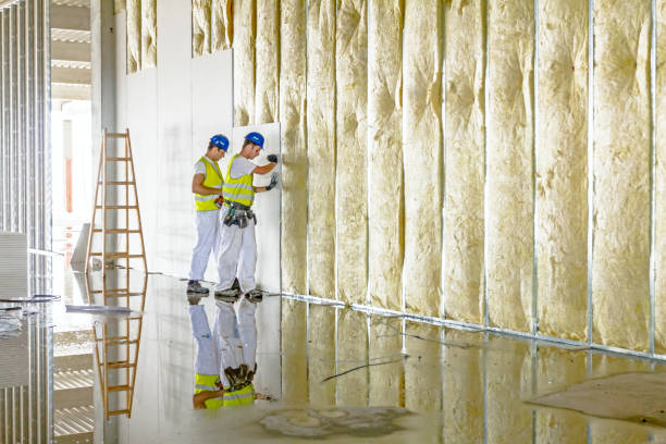 Best Energy-efficient Insulation  in Brockport, NY